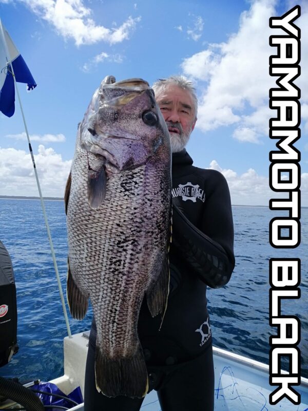 AUSSIE REELS WETSUITS - Image 4